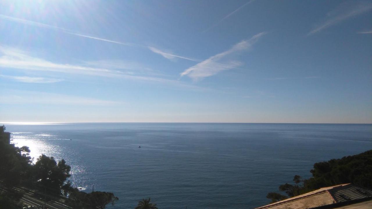 Mare E Vista Portofino - Sea And Portofino View Zoagli Kültér fotó