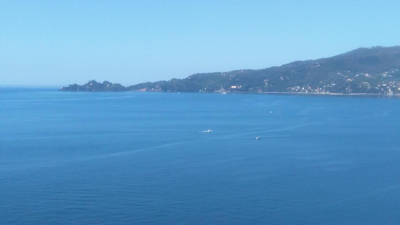 Mare E Vista Portofino - Sea And Portofino View Zoagli Kültér fotó
