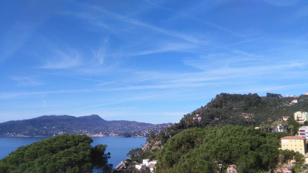 Mare E Vista Portofino - Sea And Portofino View Zoagli Kültér fotó