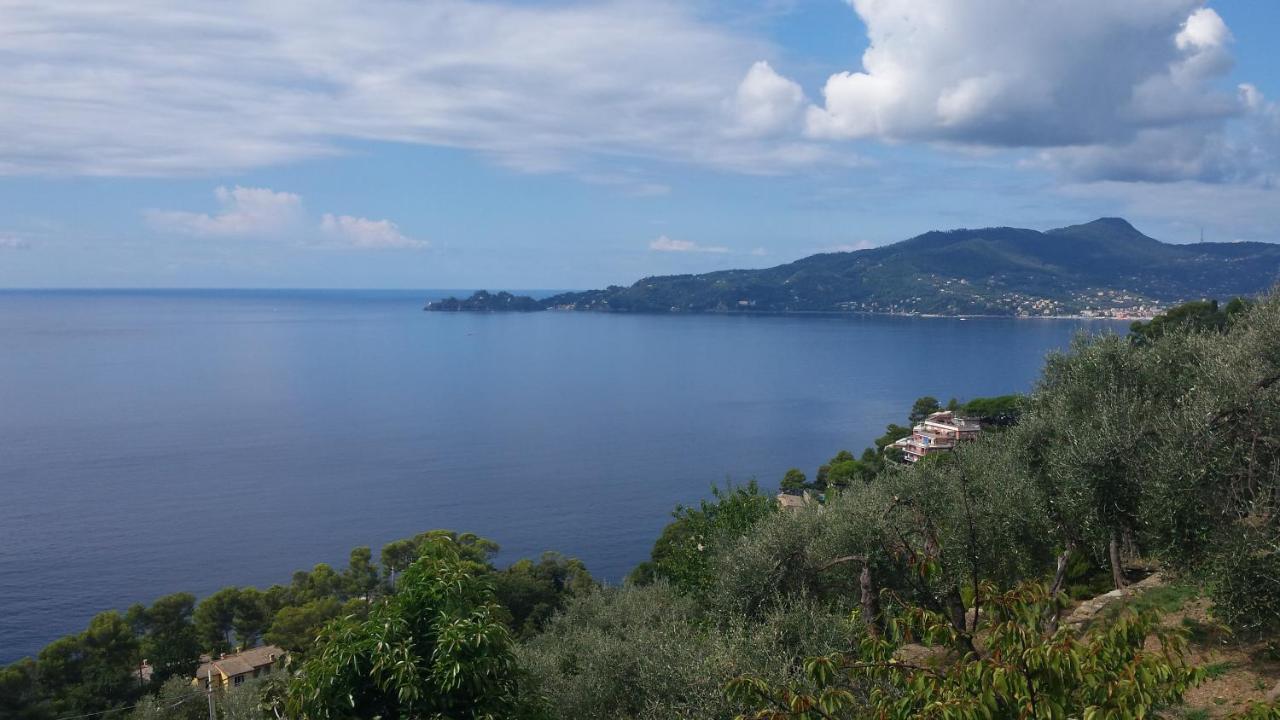 Mare E Vista Portofino - Sea And Portofino View Zoagli Kültér fotó