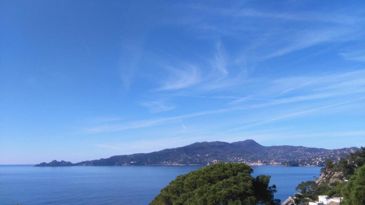 Mare E Vista Portofino - Sea And Portofino View Zoagli Kültér fotó