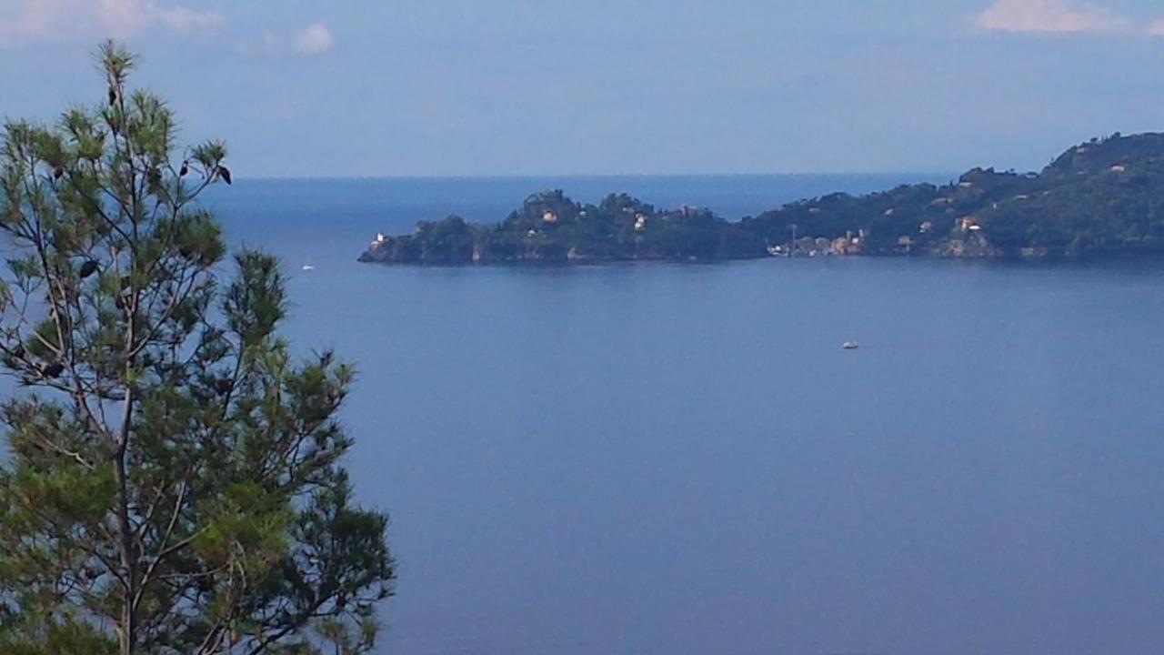 Mare E Vista Portofino - Sea And Portofino View Zoagli Kültér fotó